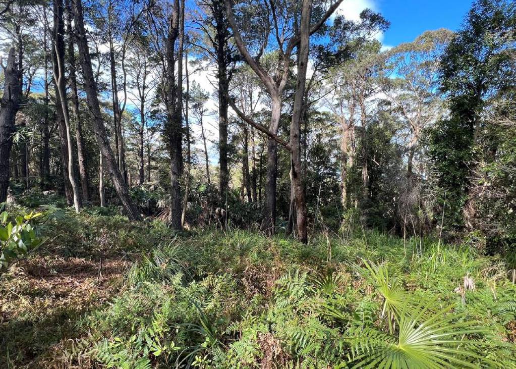 Yes, you can still buy land for less than 100k in the Illawarra but it's a 'gamble'