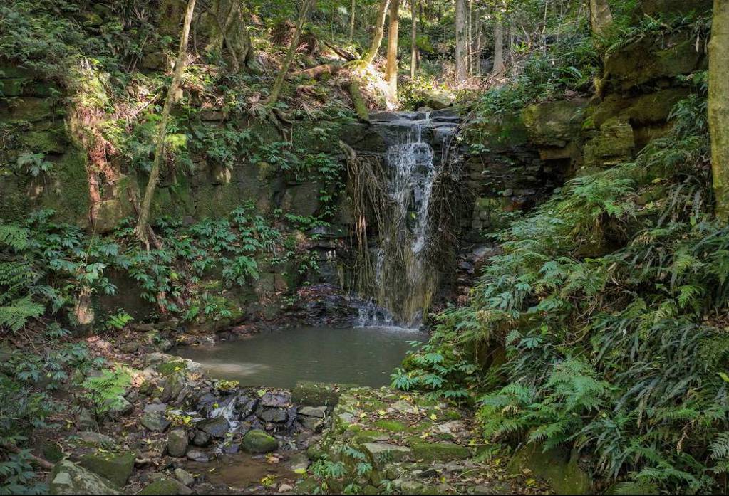 Jamberoo lifestyle property sells after 1.7 million price drop