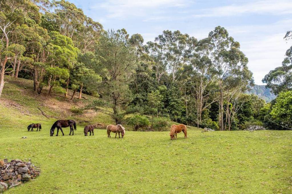Shoalhaven acreage property, located on the exclusive Comerong Island