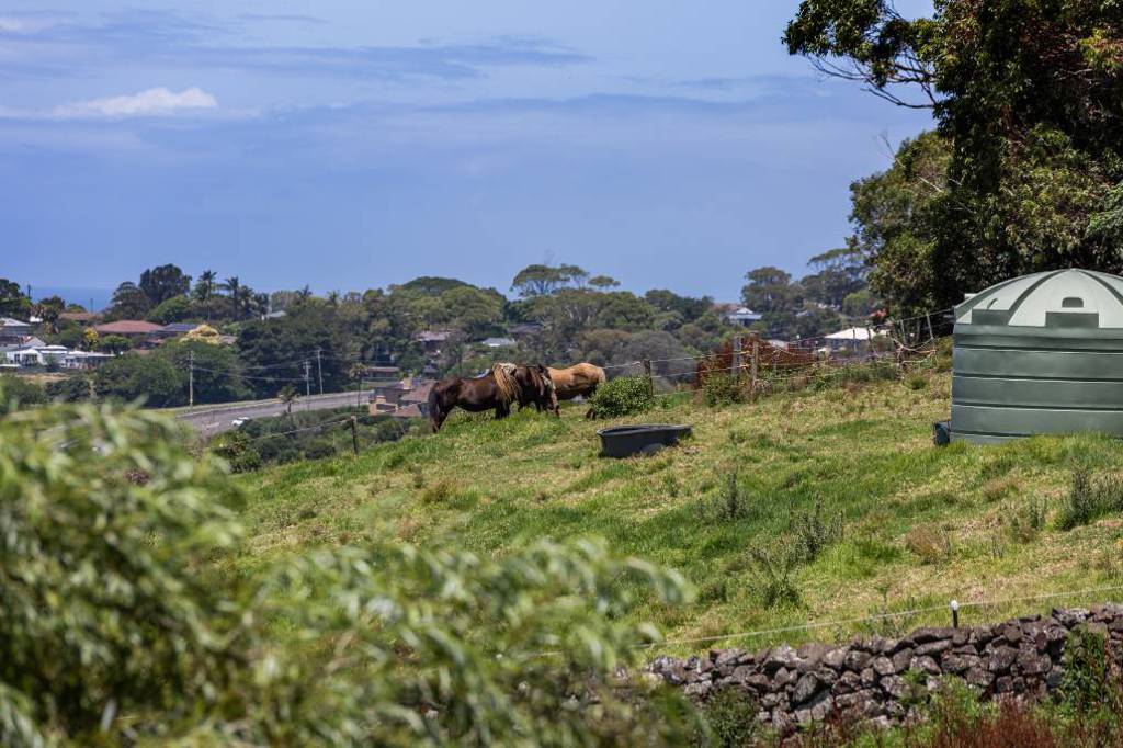 51 Saddleback Mountain Road, Kiama for sale with 11m price guide