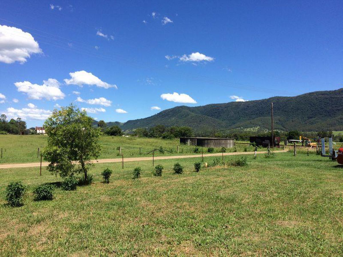 1535 Nowendoc Road, Mount NSW 2424 for Sale