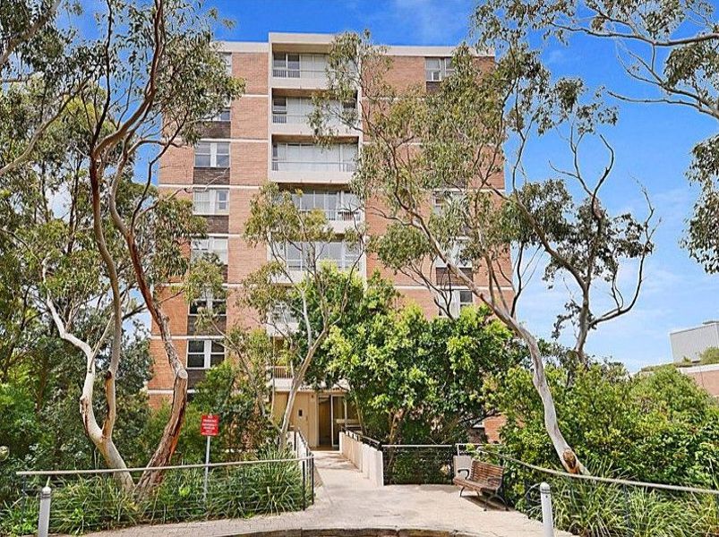 RANDWICK for Rent 31/67 Saint Marks Road, Randwick, NSW 2031 for Lease AVBL Mon, Aug 14, 2023