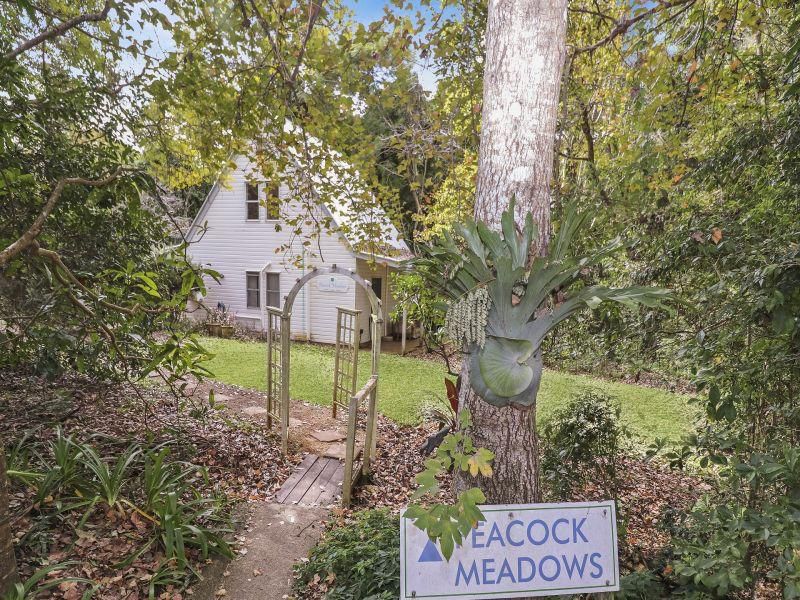 947 Maleny Montville Road, Balmoral Ridge, QLD 4552 for Sale