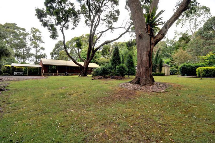 347 Kinglake Glenburn Road, Kinglake, VIC 3763 for Sale