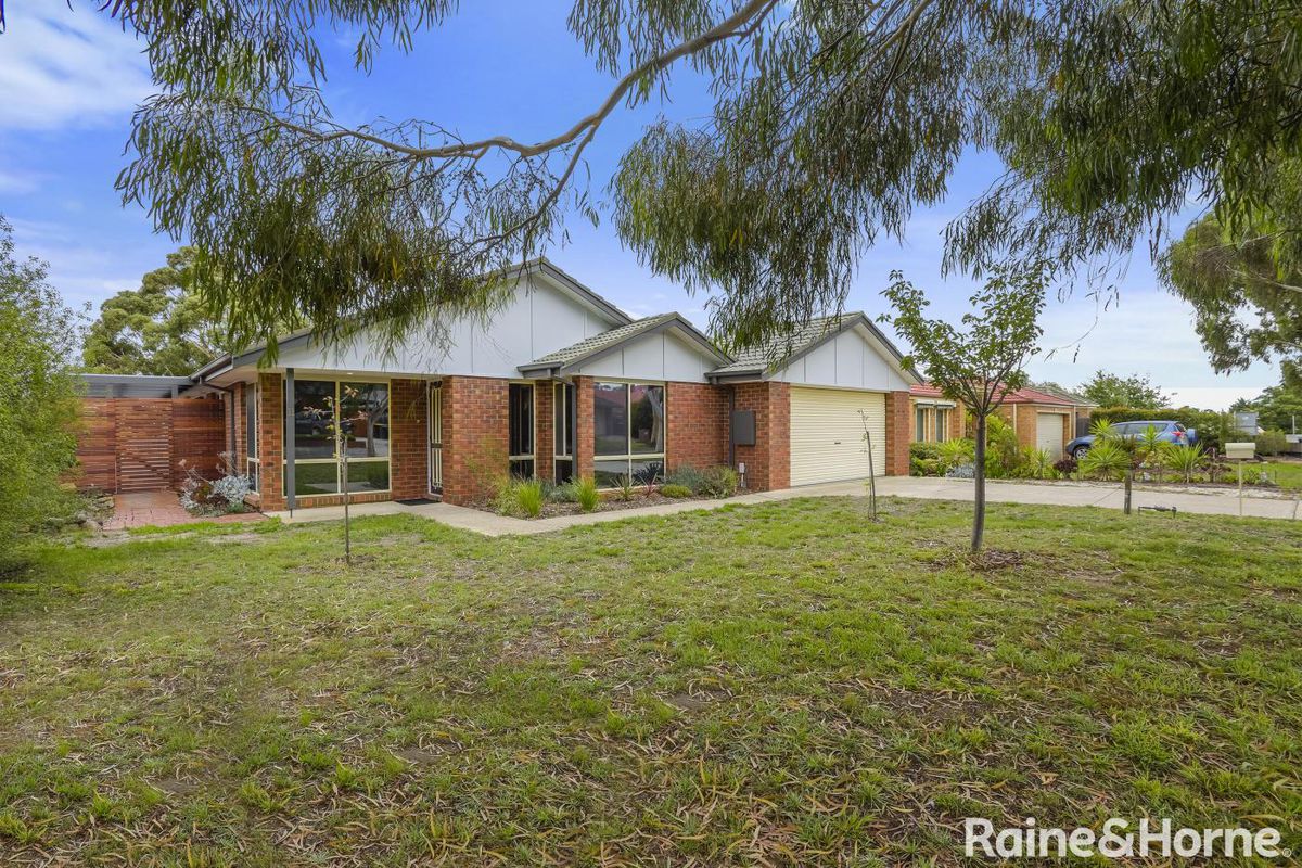 11 Candlebark Court, Riddells Creek, VIC 3431 for Sale