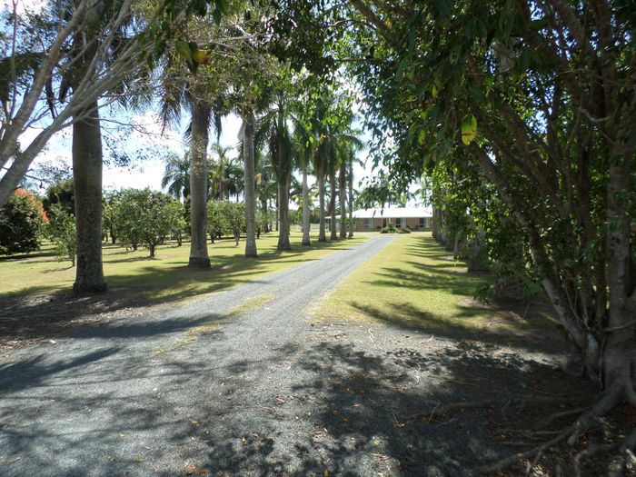 45 Griffiths Drive, Pleystowe, QLD 4741 Property Details