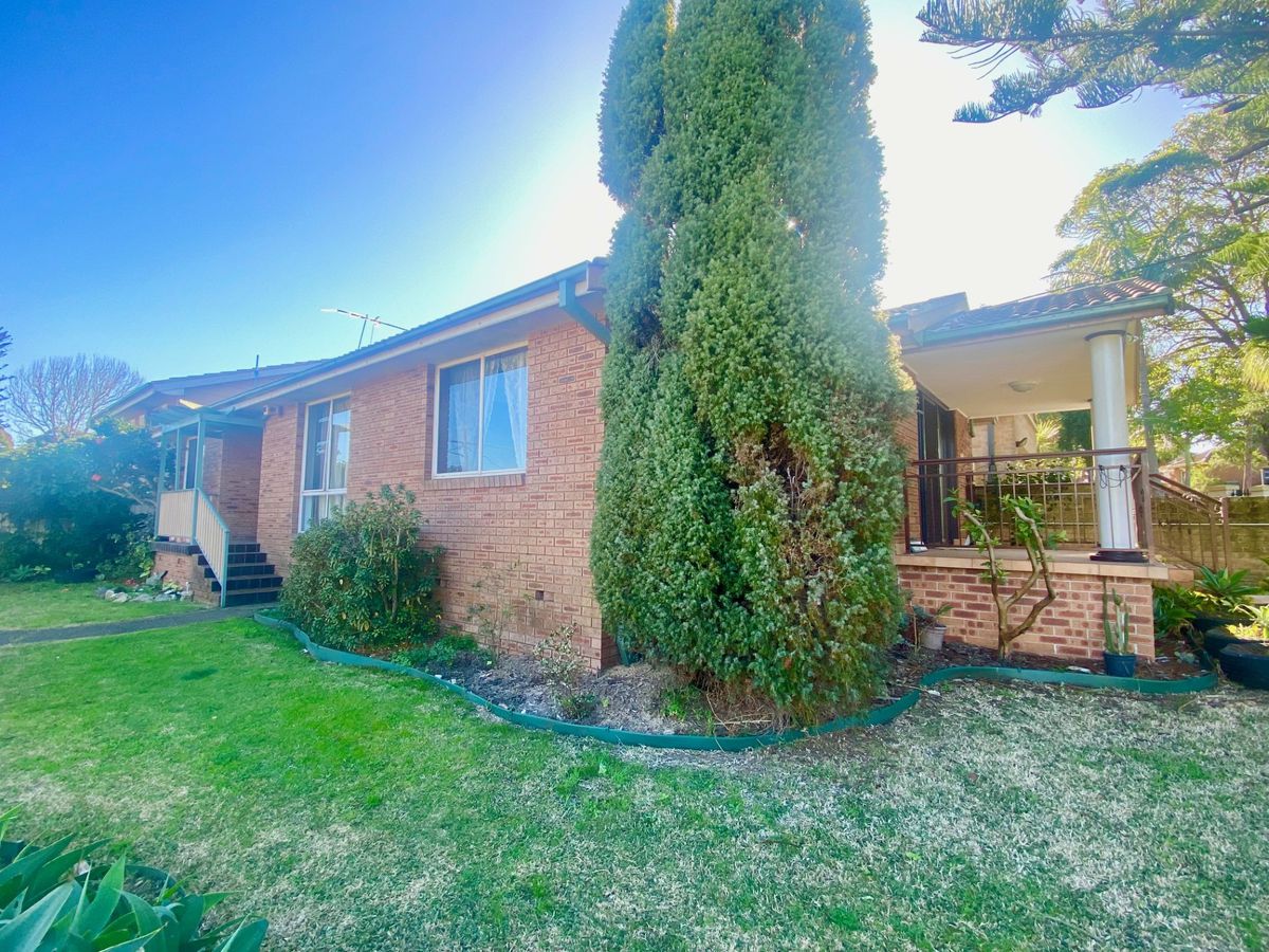 BEVERLY HILLS for Rent 49 Mountview Avenue, Beverly Hills, NSW 2209