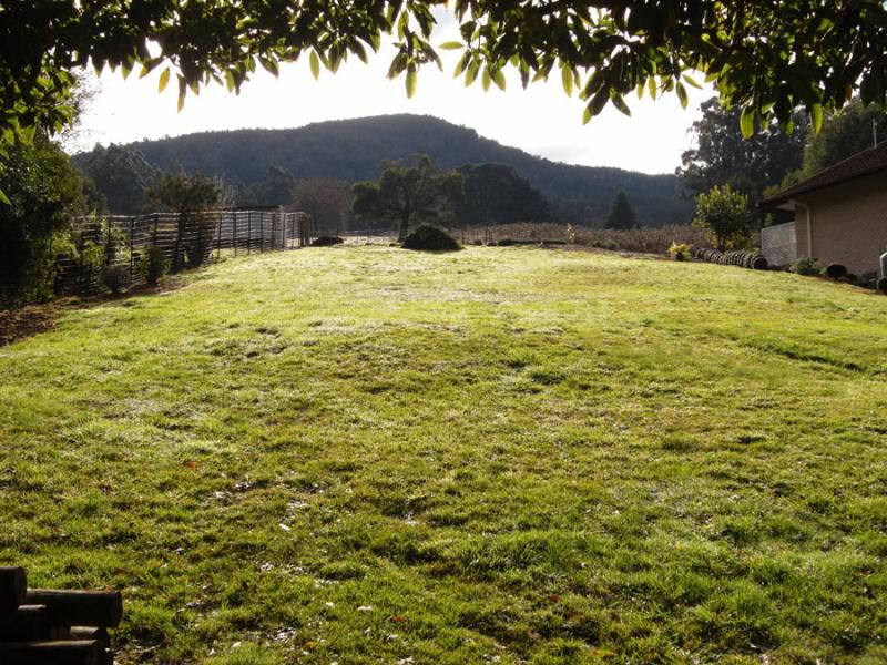 19 Marlino Avenue, Warburton, VIC 3799 for Sale