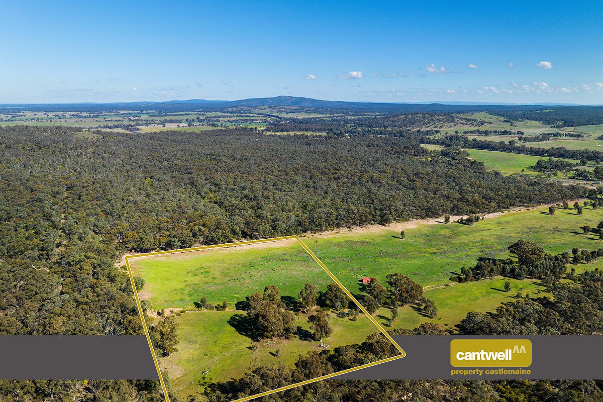 CA8, Sec1 Inglewood Rheola Road, Rheola, VIC 3517 for Sale