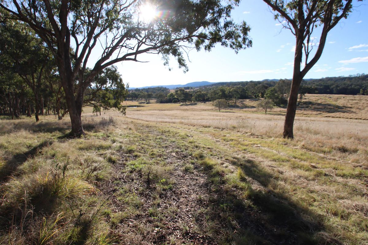 409 Mount Lindesay Road, Tenterfield, NSW 2372 for Sale