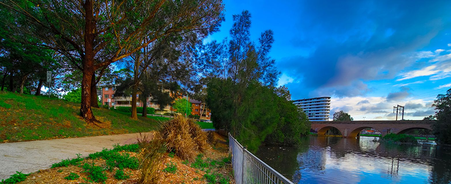 Canterbury, NSW Profile